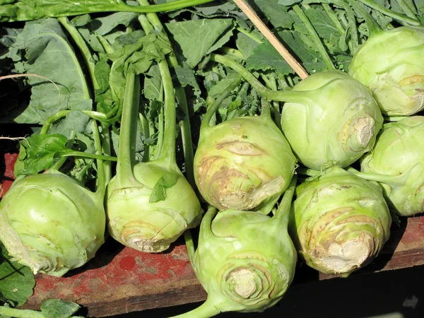 Kohlrabi. — Foto de Stock