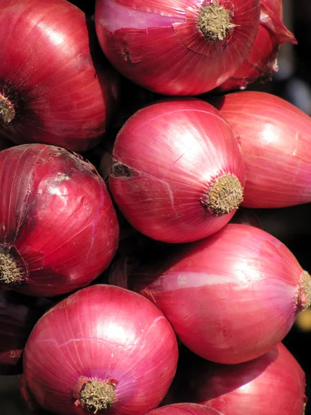 Red onions Royalty Free Stock Images