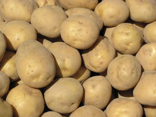 Potatoes Stock Image