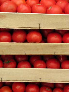 tahta bir sandık domates