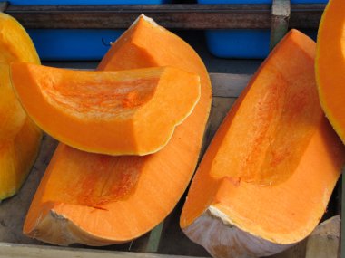 balkabağı