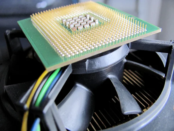 Computer CPU and cooler — Stock Photo, Image