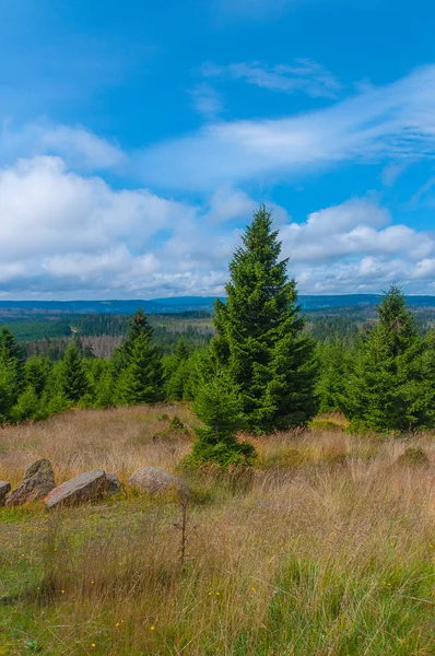 Harz Nationalpark, Almanya.