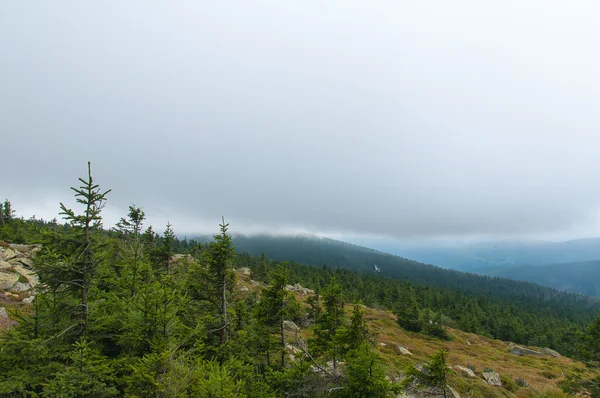 Foggy view of Brocken mountains, Germany. — Stock Photo, Image