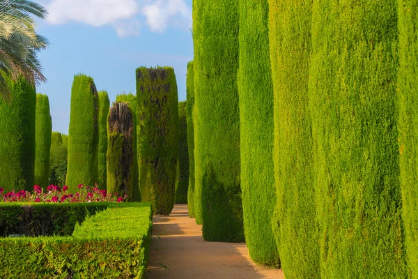 Beaux jardins, Cordoue . — Photo