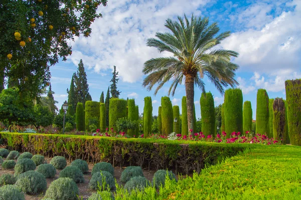 Alcazar, Cordoba'ndaki bahçeler.