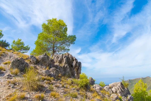 Summer landscape in the mountains, Spain. — Stock Photo, Image