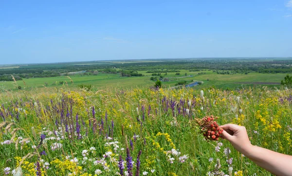 Doğanın güzel manzarası yüksek kalitede.