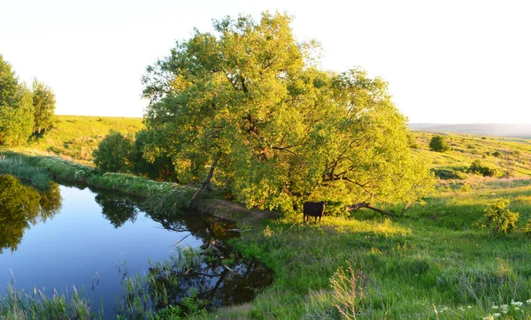 Doğanın güzel manzarası yüksek kalitede.