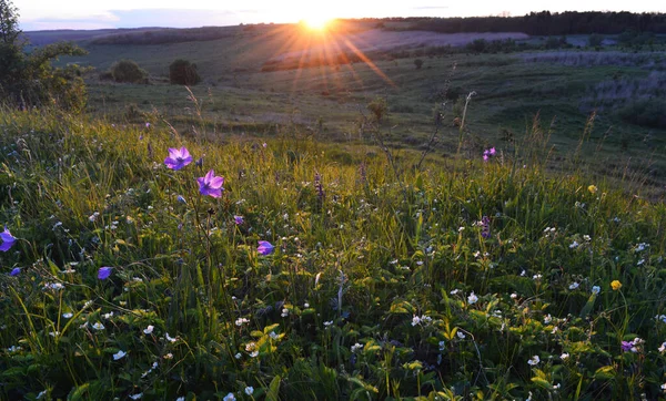 Doğanın güzel manzarası yüksek kalitede.