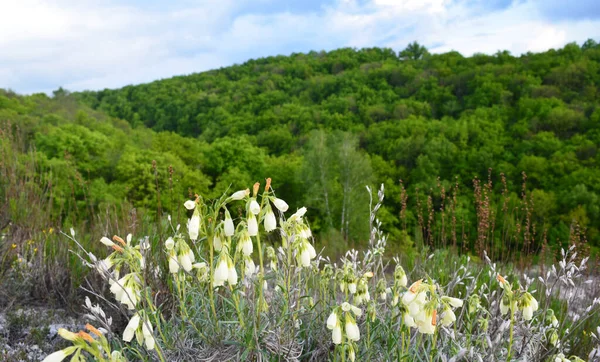 Doğanın güzel manzarası yüksek kalitede.