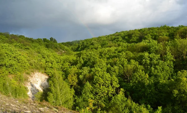 Doğanın güzel manzarası yüksek kalitede.