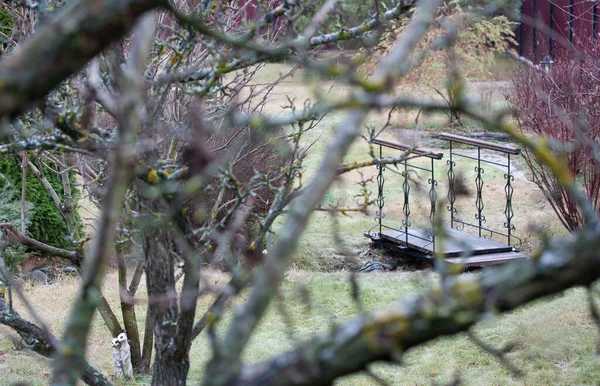 Smeedijzeren Brug Droge Beek Herfsttuin — Stockfoto