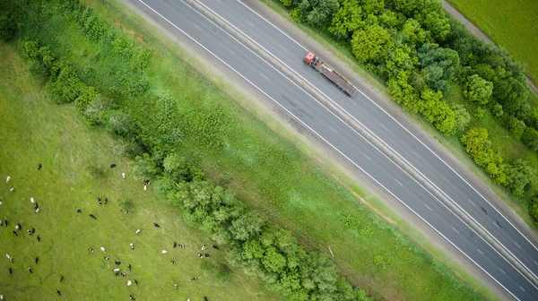 Yol Kenarındaki Çayırda Bir Inek Sürüsünün Havadan Görünüşü — Stok fotoğraf