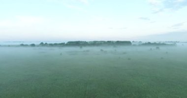 Nehir ve çayırların üzerinden bir yaz sabahı uçuşu