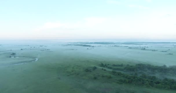 Vlucht Rivier Weilanden Een Vroege Zomerochtend — Stockvideo