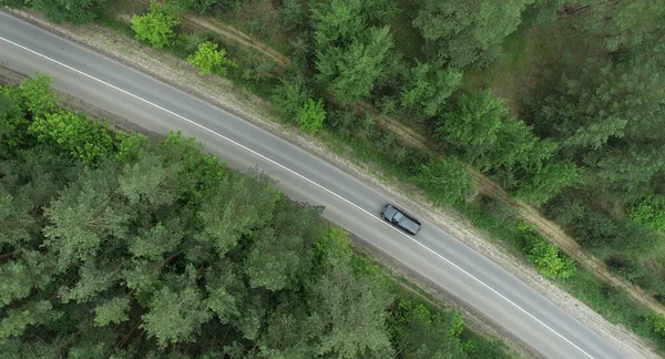 Ein Pkw Fährt Einem Kiefernwald Die Straße Entlang — Stockfoto