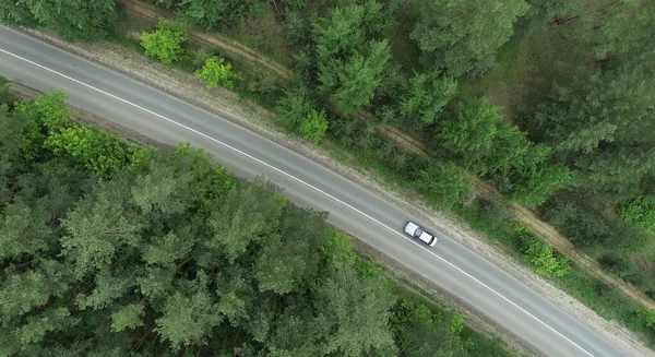 Une Voiture Tourisme Déplace Long Route Dans Une Pinède — Photo