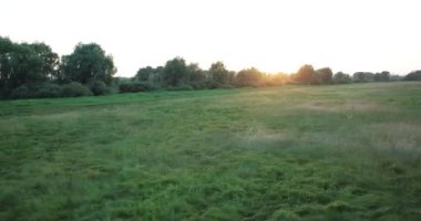 Haziran 'da gün batımında bir çayırın hava videosu