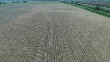 Güneşli bir yaz gününde çayırda kuru saman manzarası.