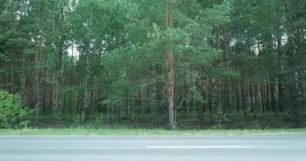 Movimiento Los Coches Carretera Bosque Día Verano — Vídeo de stock