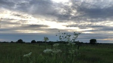 Haziran 'da gün batımından önce çayırlarda bulutlar