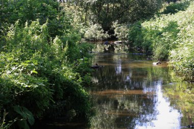 Güneşli bir yaz gününde şehir sınırları içinde akarsu