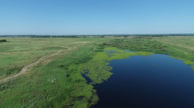 Güneşli bir yaz gününde çayırların arasındaki gölün havadan görünüşü.