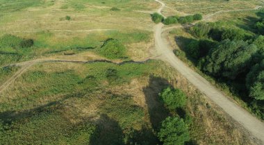 Çalılar ve kuru otlar arasında yol manzarası