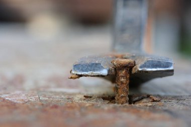 Tahtadan paslı bir çiviyi çıkarırken çekilmiş makro fotoğraf.