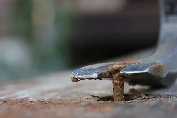 Macro Foto Van Het Verwijderen Van Een Roestige Spijker Van — Stockfoto