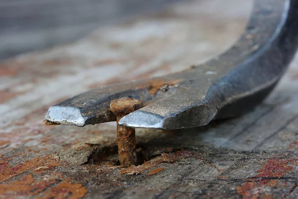木の板から錆びた釘を取り除くマクロ写真 — ストック写真
