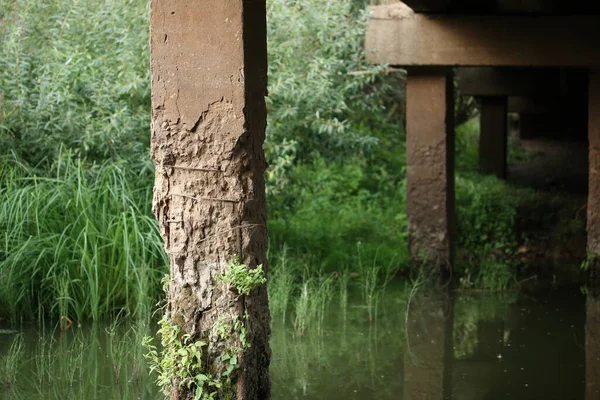 Sbriciolatura Pilastro Cemento Armato Del Ponte Sul Fiume — Foto Stock