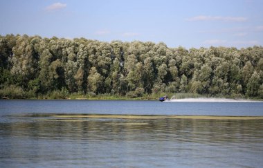 Güneşli bir yaz gününde nehirde jet ski süren bir adam.