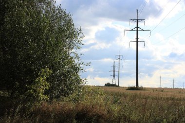 Ormanın kenarındaki bir tarlada elektrik hattı var.