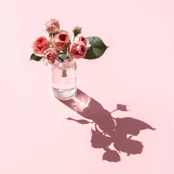 Un bicchiere con acqua e rosa mini fiore Rosa chiamato Mimi Eden con gocce d'acqua su sfondo rosa brillante. — Foto Stock