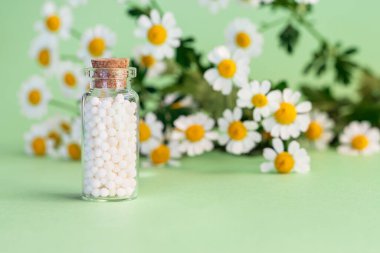 Taze papatya çiçeklerinin arka planında klasik homeopati küreleri. Alternatif homeopati ilaç bitkileri, sağlık hizmetleri ve haplar konsepti.