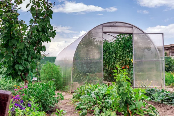 Conception Jardinage Aliments Sains Produits Écologiques Petite Serre Avec Des — Photo