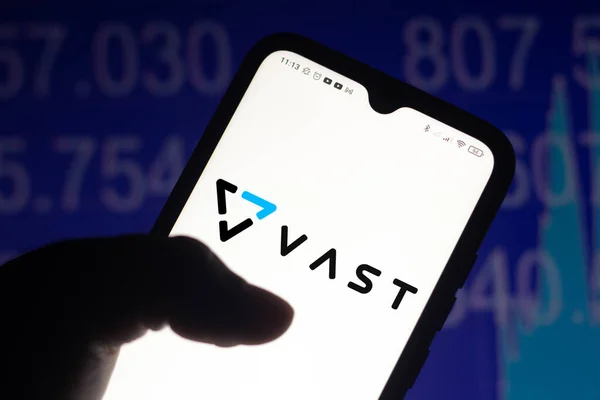 2021 브라질 Vast 데이터 스마트폰 화면에 표시된 — 스톡 사진