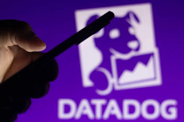 Ağustos 2021 Brezilya Fotoğrafta Akıllı Telefondaki Datadog Logosu Görülüyor — Stok fotoğraf