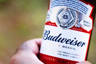 11 Ağustos 2021, Brezilya. Budweiser birası tutan bir adam. 1876 'da kurulan AB InBev tarafından üretilen uzun bir Amerikan birasıdır.