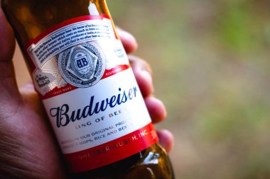 11 Ağustos 2021, Brezilya. Budweiser birası tutan bir adam. 1876 'da kurulan AB InBev tarafından üretilen uzun bir Amerikan birasıdır.
