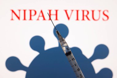 Nipah Virüsü kelimesi 2 Şubat 2026 'da Kanada' nın Ontario şehrinde tıbbi bir şırıngayla ekranda sergilenmektedir.