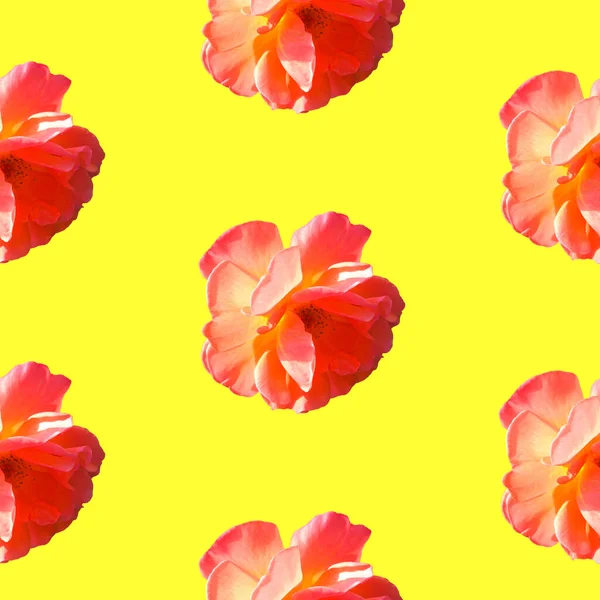 Naadloos patroon met rozen op een gele achtergrond. — Stockfoto