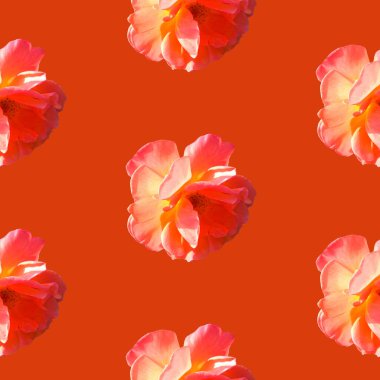 Turuncu arka planda güller olan kusursuz bir desen.