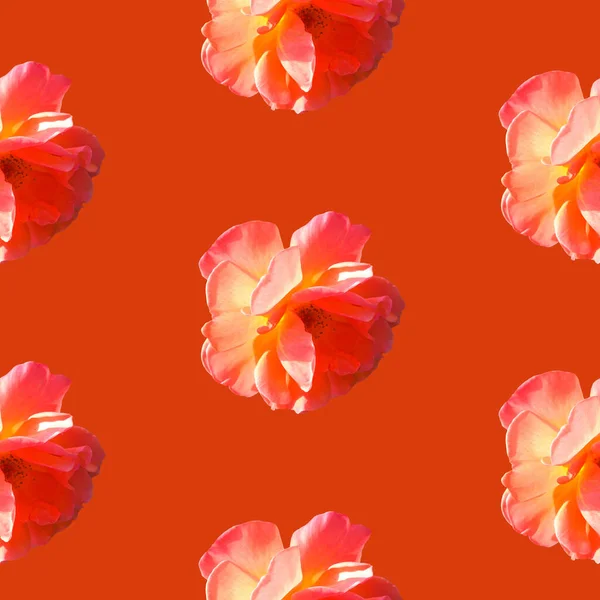 Nahtloses Muster mit Rosen auf orangefarbenem Hintergrund — Stockfoto