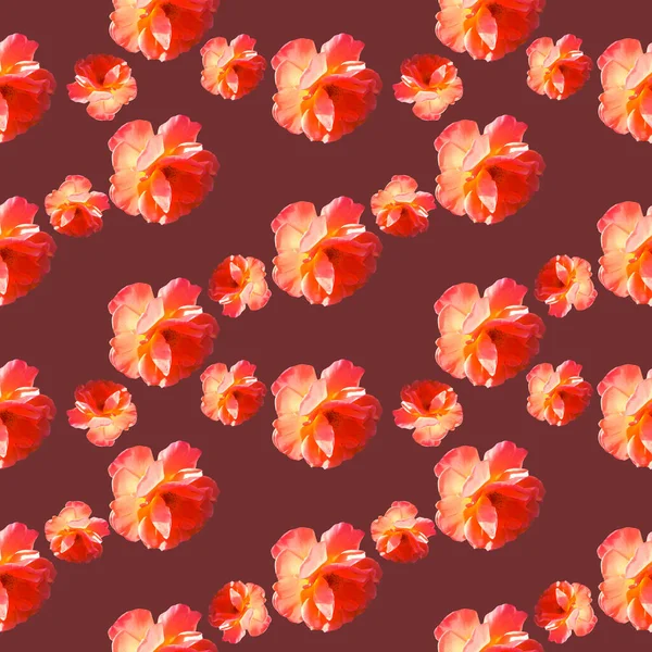 Seamless pattern with roses on a burgundy background — Stock Photo, Image