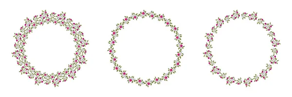 Conjunto de coronas vectoriales aisladas florales, ramas con hojas y flores magenta brillantes en blanco — Vector de stock