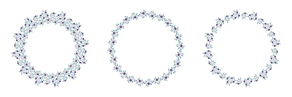 Conjunto de coronas vectoriales aisladas florales, ramas con hojas de teca y flores de color púrpura sobre blanco — Vector de stock