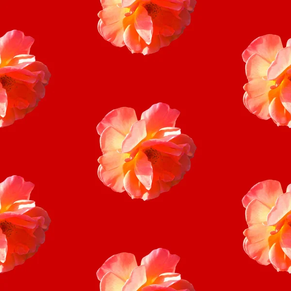 Seamless pattern with roses on a red background — Stock Photo, Image